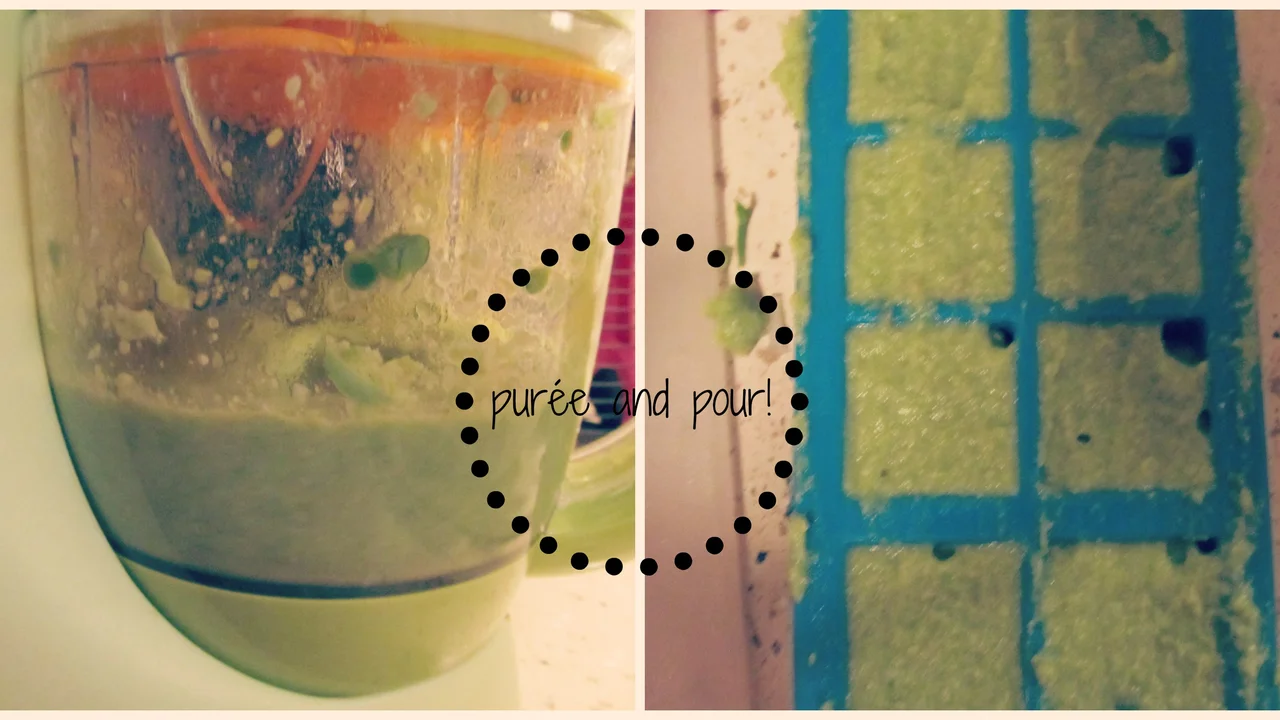 Best Baby Food Makers for Homemade Purees